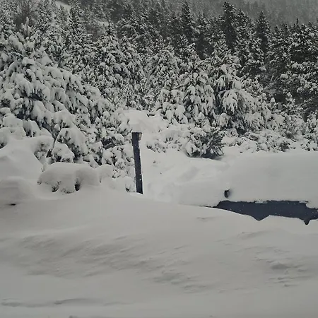 Setcases-vallter Mitja Pensio 4 3*