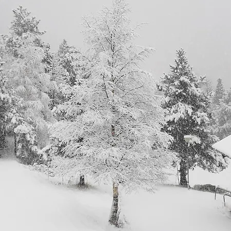 Setcases-vallter Mitja Pensio 4 Setcases